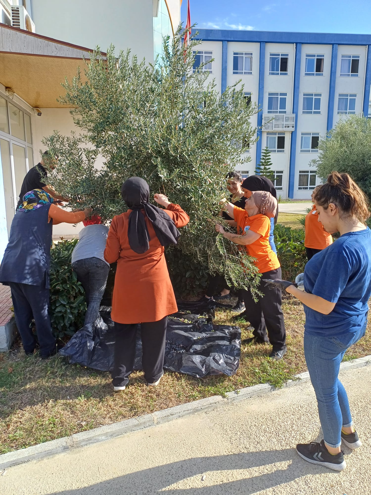 Alanya Alaaddin Keykubat Üniversitesi İdari ve Mali İşler Daire Başkanlığı